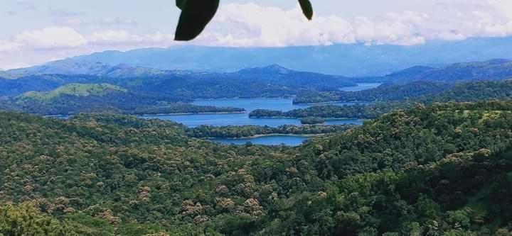 Spathodea Vagamon Exterior foto
